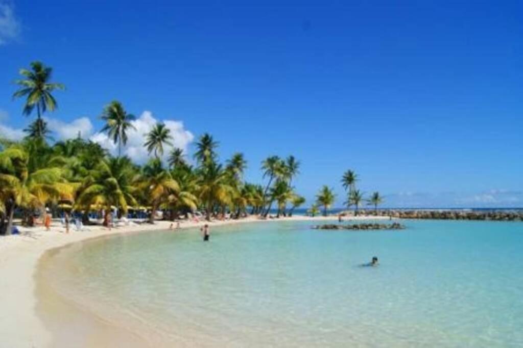 Gite Cajou Dans Jardin Tropical Ventile A Sainte-Anne المظهر الخارجي الصورة