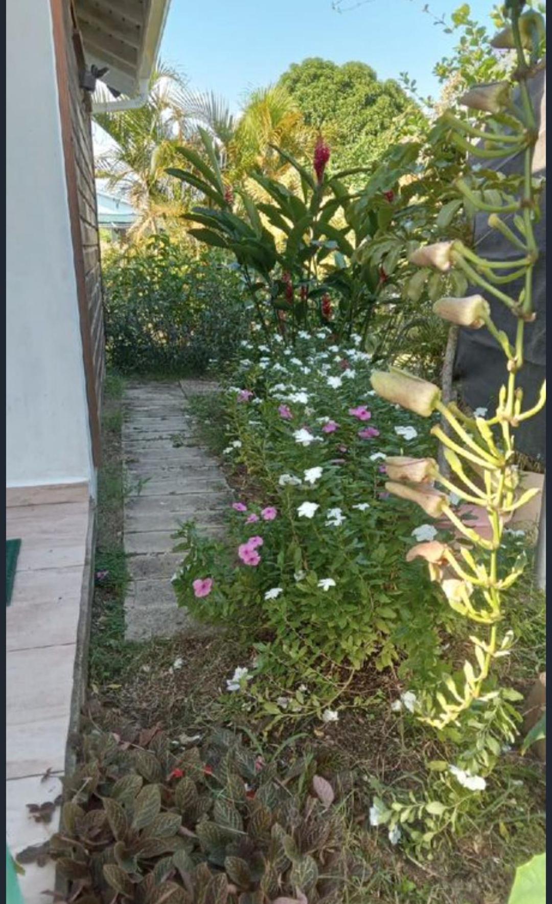 Gite Cajou Dans Jardin Tropical Ventile A Sainte-Anne المظهر الخارجي الصورة